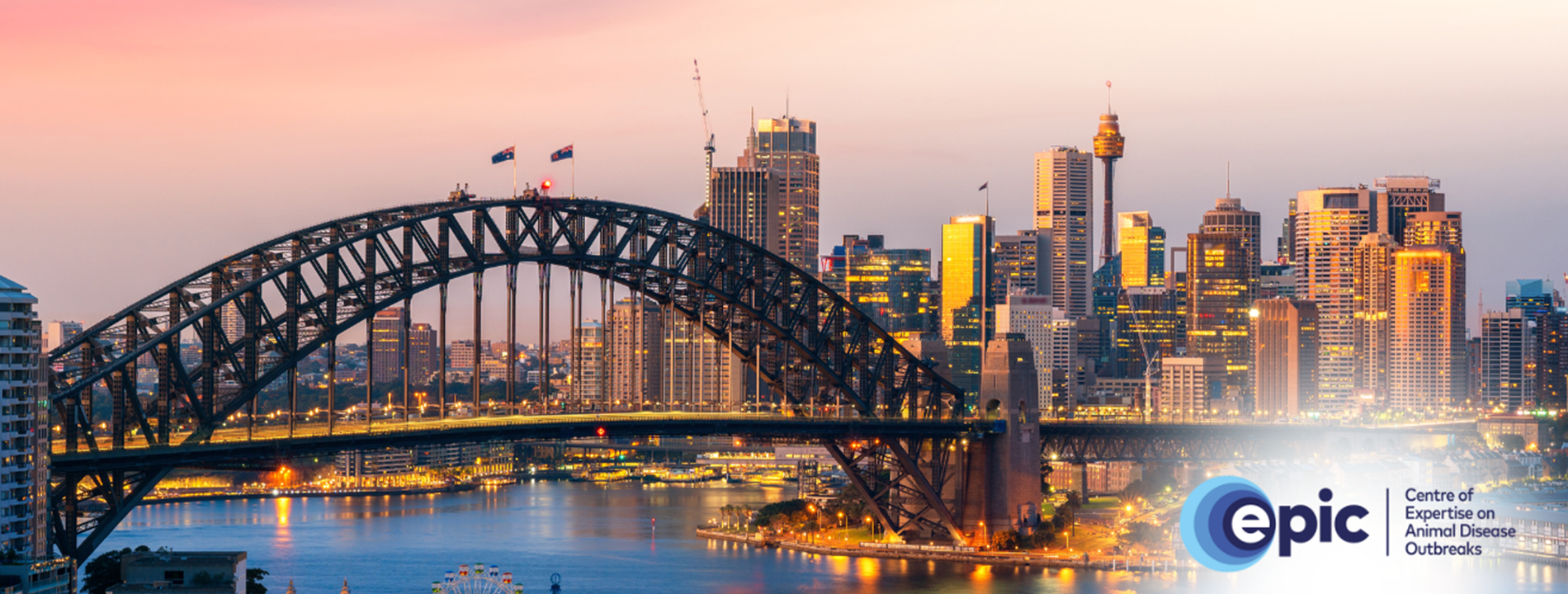 Sydney Harbour (2)