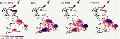 Figure 1: Spatial distribution of the incidence risk of ASF infection in Great Britain if incursion is left undetected and freely spreading for 8 weeks.